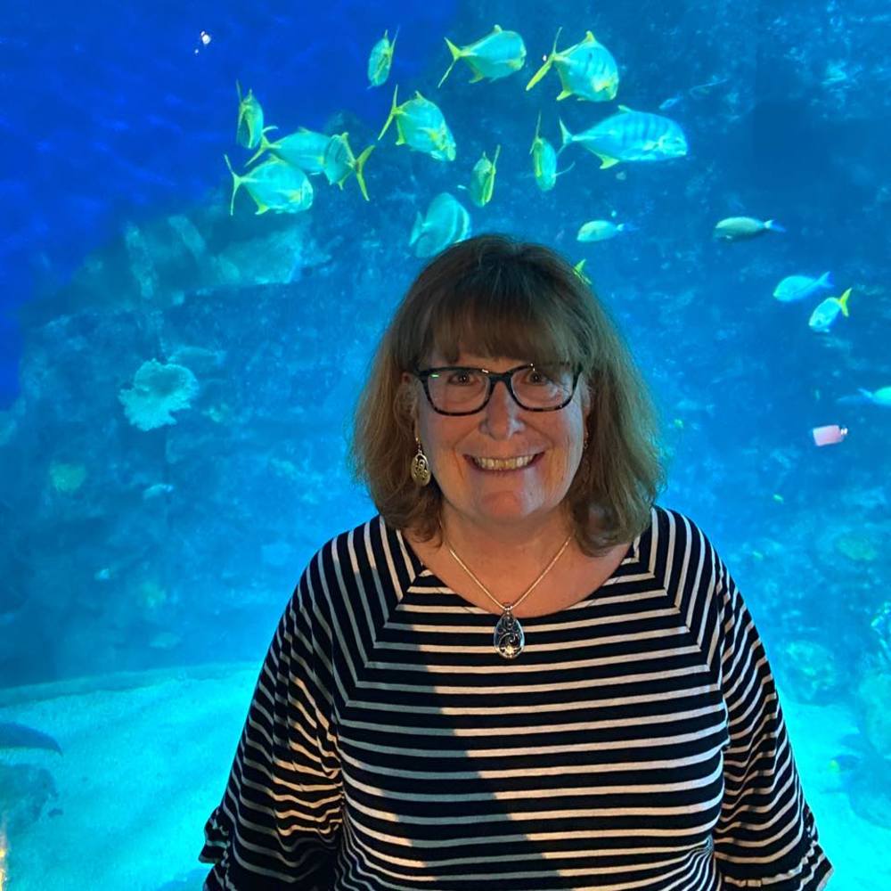 Meet your Posher, Lutye